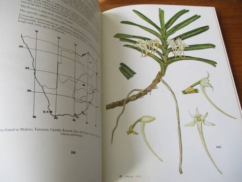 SOUTHERN AFRICAN EPIPHYTIC ORCHIDS  JOHN S. BALL