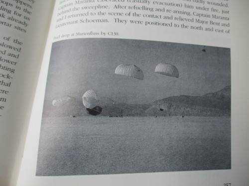 WARRIORS OF THE SKY. Springbok Air Heroes in Combat