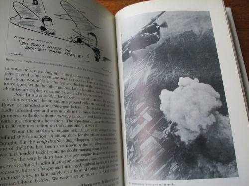 WARRIORS OF THE SKY. Springbok Air Heroes in Combat
