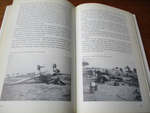 WARRIORS OF THE SKY. Springbok Air Heroes in Combat