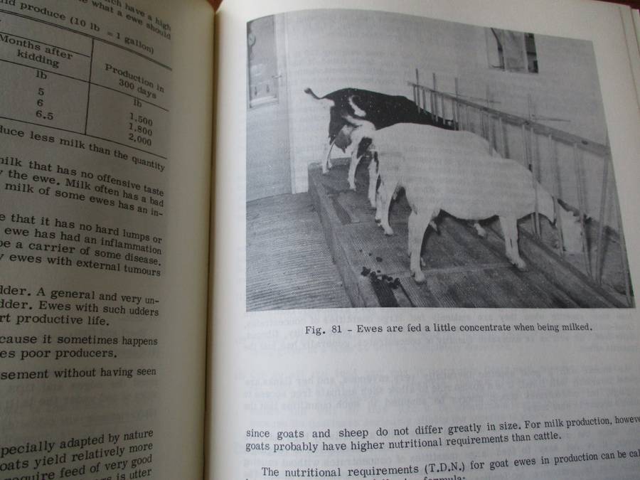 The Small Stock Industry in South Africa  Department of Agricultural Technical Services