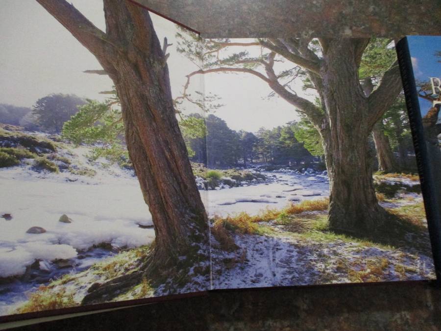 Meetings with Remarkable Trees  and Remarkable Trees  of the World THOMAS PAKENHAM