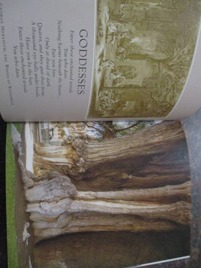Meetings with Remarkable Trees  and Remarkable Trees  of the World THOMAS PAKENHAM
