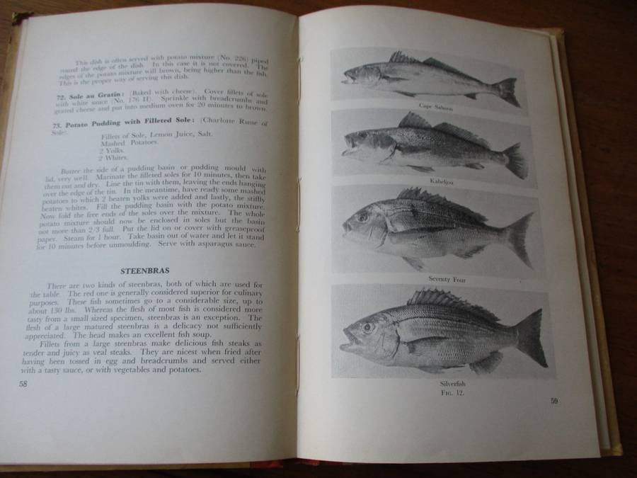 FISH FARE for South Africans  by Hilda Gerber
