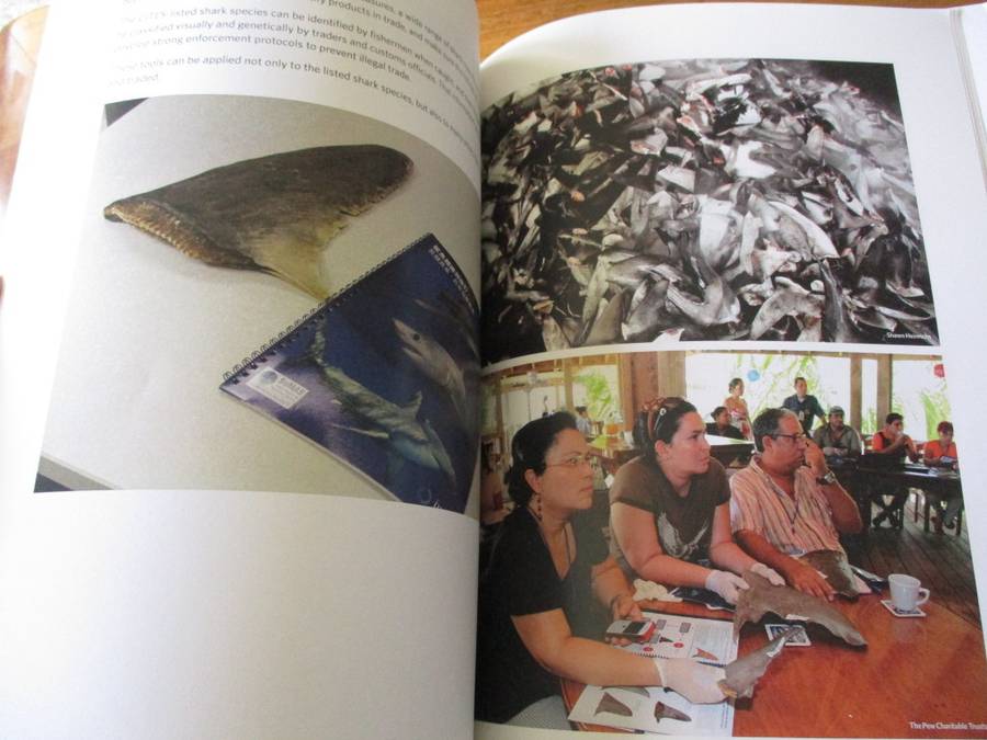 Protecting Sharks, Enforcing CITES/ Identifying Shark Fins Implementing and Enforcing CITES