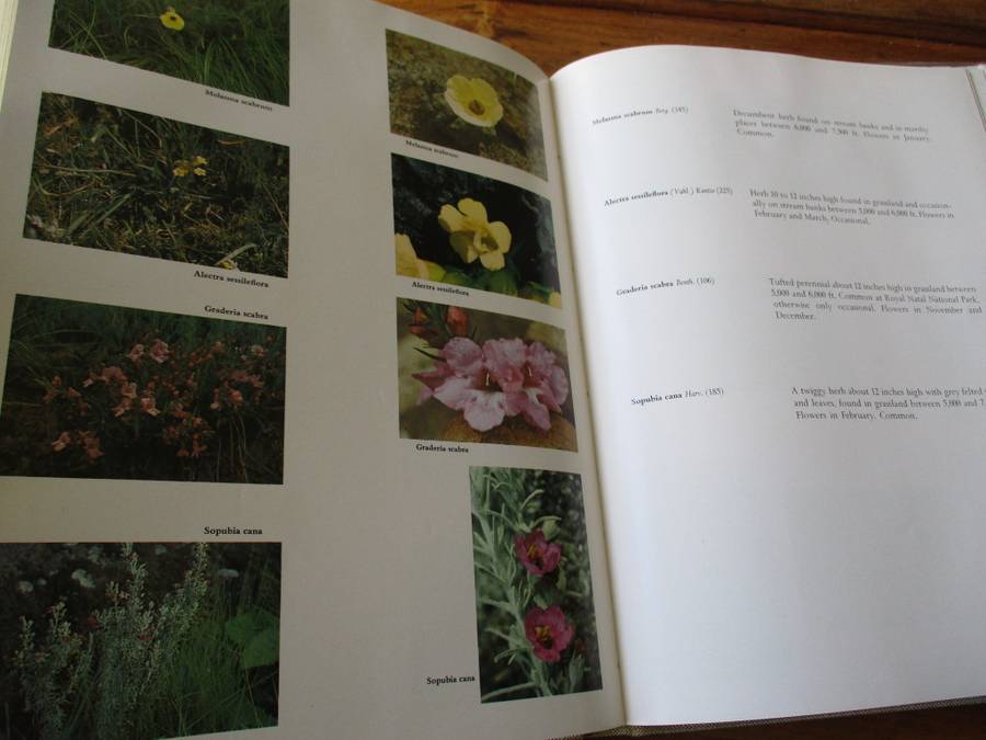 SIGNED. Wild Flowers of the Natal Drakensberg W.R. Trauseld