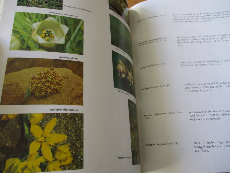 SIGNED. Wild Flowers of the Natal Drakensberg W.R. Trauseld