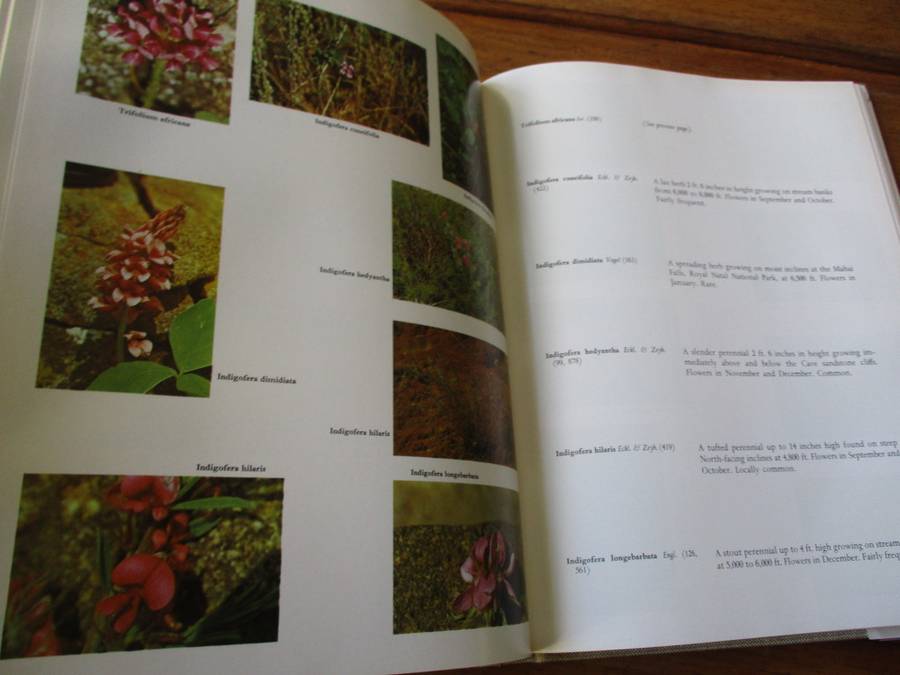 SIGNED. Wild Flowers of the Natal Drakensberg W.R. Trauseld