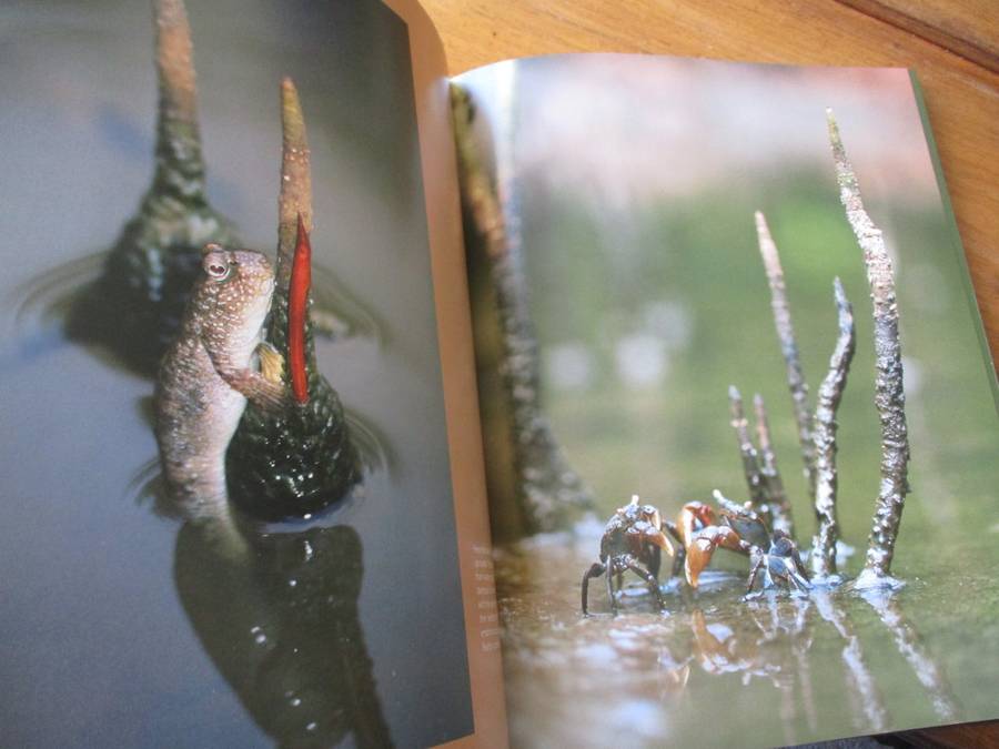 art of nature Heinrich van den Berg