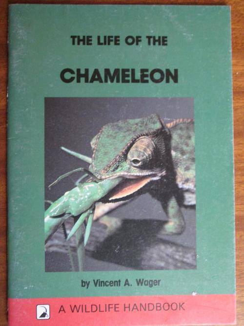 The Life of a CHAMELEON