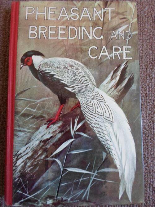 PHEASANT BREEDING AND CARE