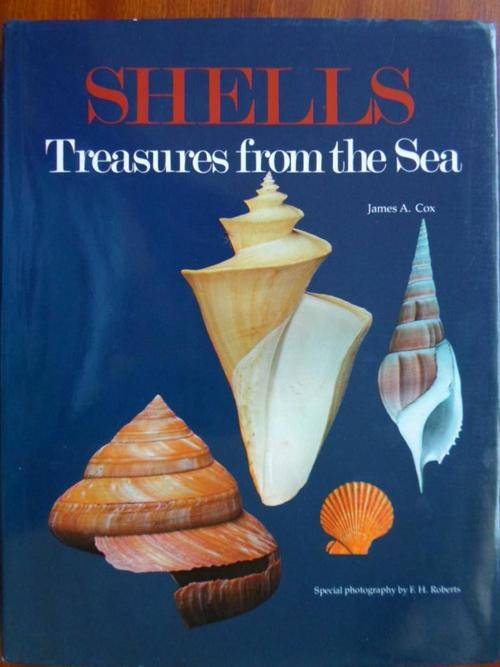 SHELLS - Treasures from the Sea. James E Cox