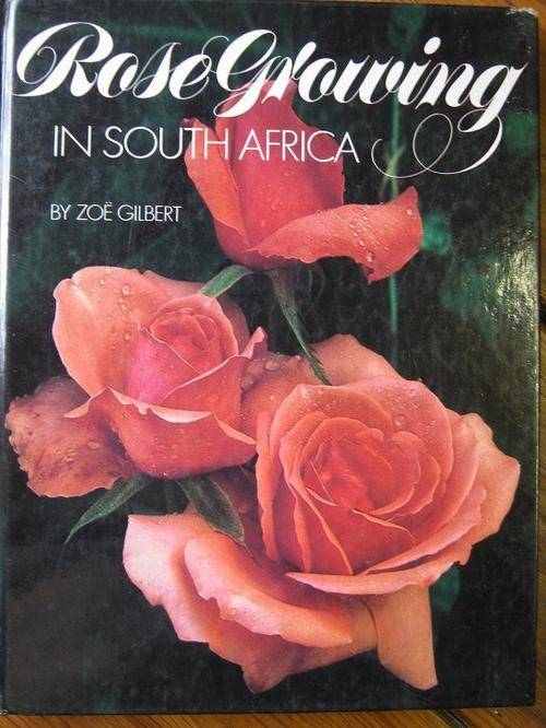 Rose Growing in South Africa. Zoe Gilbert