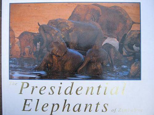 The Presidential Elephants of Zimbabwe