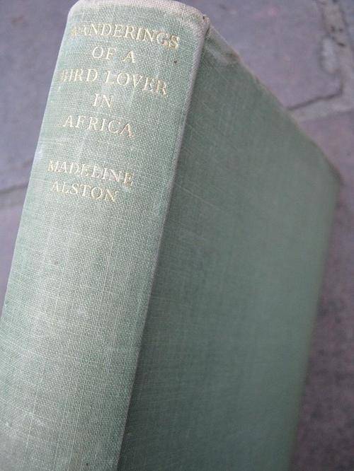 Wanderings of a Bird-Lover in Africa. By Madeline Alston
