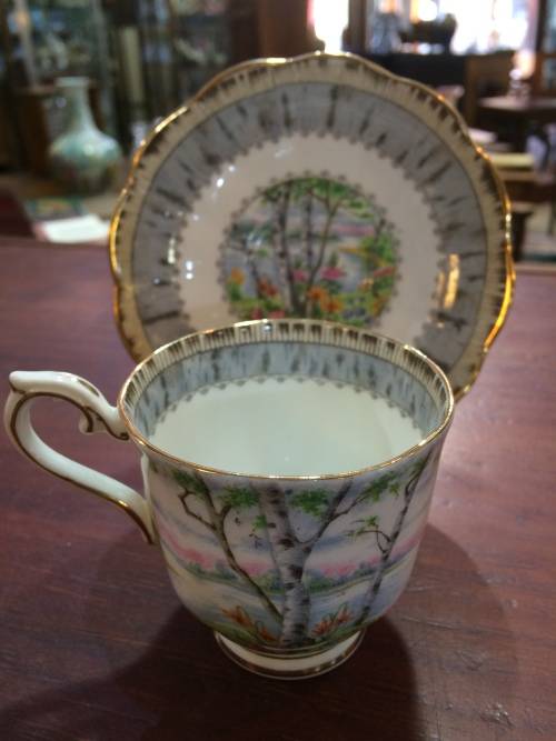ROYAL ALBERT 'SILVER BIRCH' CUP AND SAUCER.