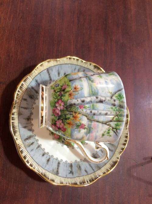 ROYAL ALBERT 'SILVER BIRCH' CUP AND SAUCER.