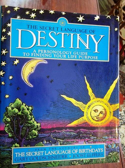 THE SECRET LANGUAGE OF DESTINY - GARY GOLDSCHNEIDER & JOOST ELFFERS