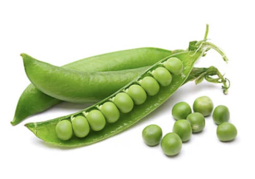 Pea Kelvedon Wonder - 30 Seeds