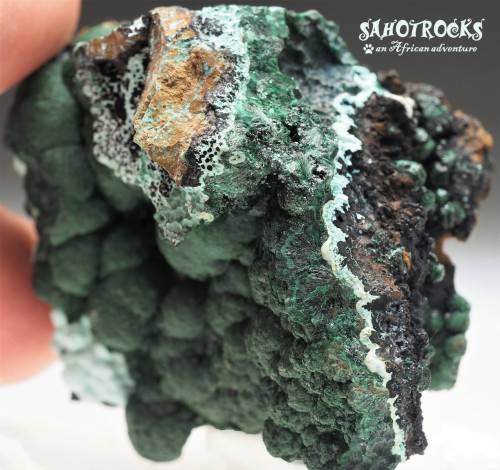 Chrysocolla Malachite Libethenite Heterogenite, Katanga Copper Crescent, Congo DRC