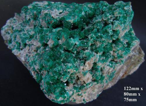 Tsumeb mine dioptase crystals on matrix-namibia-522g