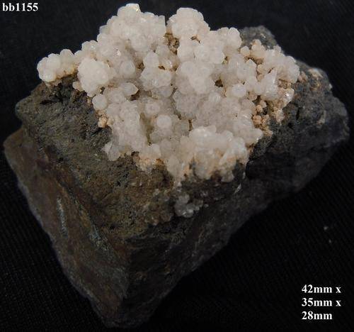 Kalahari manganese fields manganocalcite crystals on matrix-South Africa-51gram
