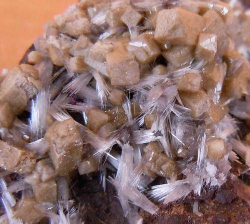 Kalahari manganese fields olmiite and bultfonteinite crystals on matrix-south africa-19g