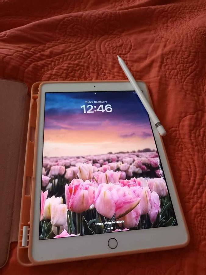 Ipad 8, 32gb WiFi with apple pen