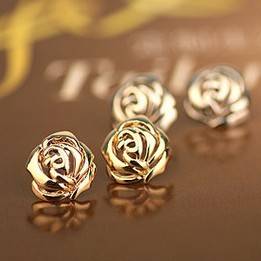 Fashion Jewelry Beautiful Quality Lady's Earring