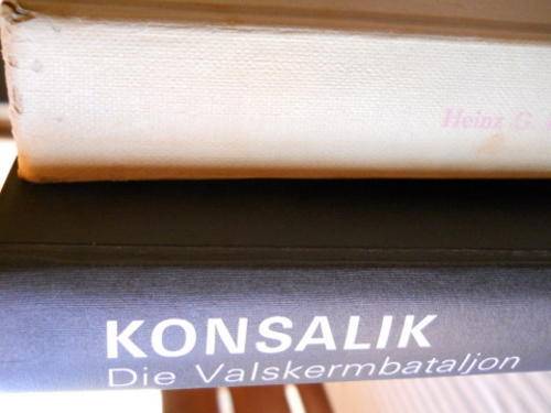 2 X Konsalik:Die Valskermbataljon & Die Skerwe van die Ysterkruis