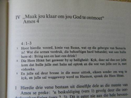 DIE PROFEET AMOS  deur Dr. Adrio Konig