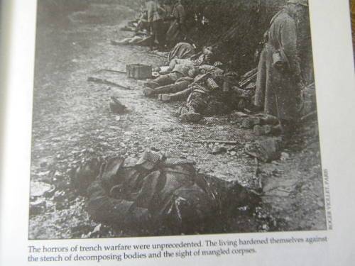 NAZI GERMANY AND WORLD WAR II  by Donald D. Wall