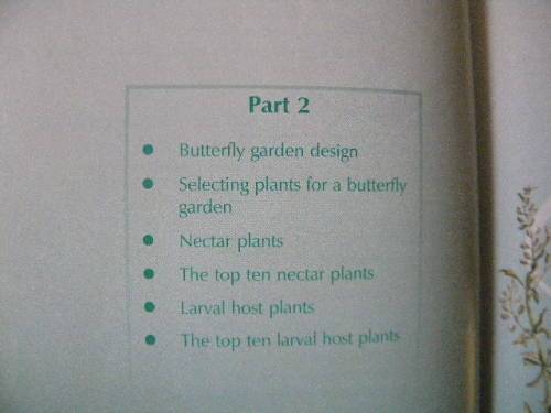 BUTTERFLY GARDENING IN SOUTH AFRICA  by Jill Reid