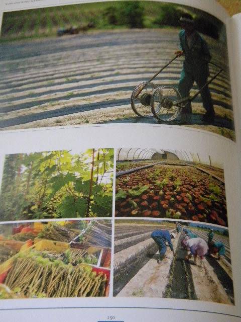 NEDERBURG  The first two hundred years Text: Phillida Brooke Simons  Photography: Alain Proust