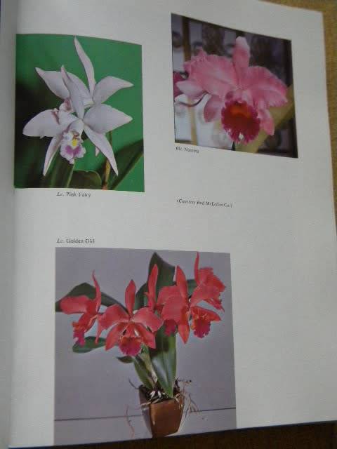 HOME ORCHID GROWING (Third edition)  by Rebecca Tyson Northen
