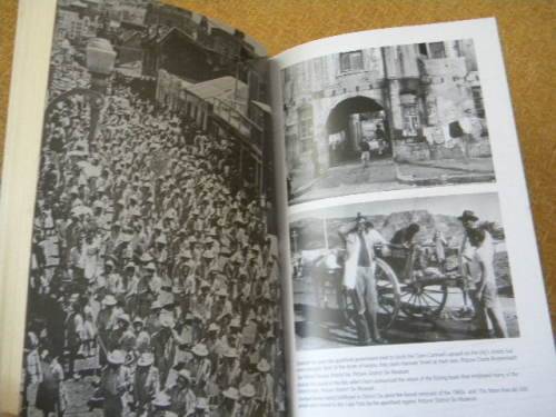 GANG TOWN, by Don Pinnock