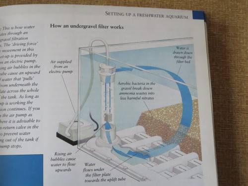 THE COMPLETE BOOK OF FRESHWATER AND MARINE TROPCIAL FISH  by R Crow and D Keeley