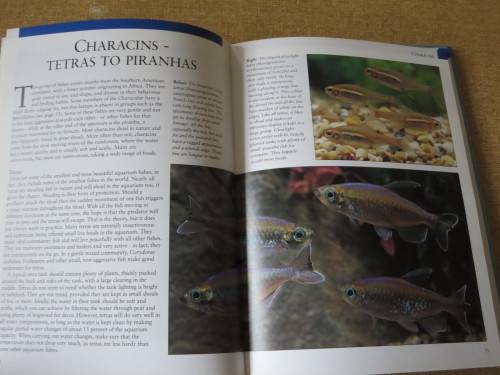 THE COMPLETE BOOK OF FRESHWATER AND MARINE TROPCIAL FISH  by R Crow and D Keeley
