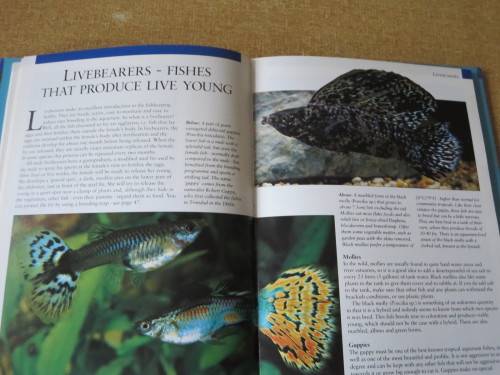 THE COMPLETE BOOK OF FRESHWATER AND MARINE TROPCIAL FISH  by R Crow and D Keeley