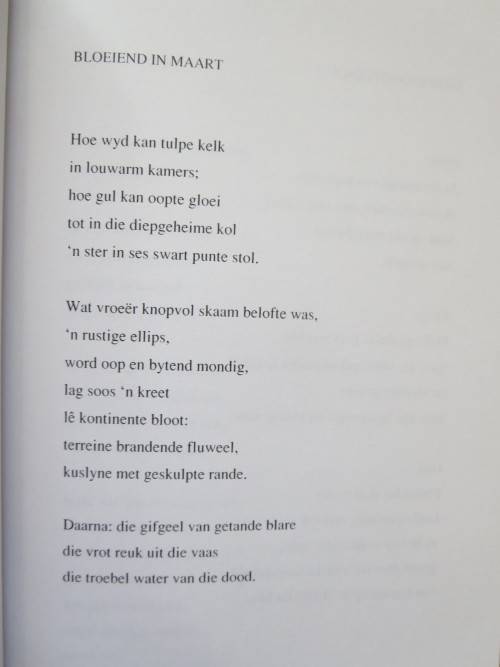 DANSMUSIEKE  deur Zandra Bezuidenhout  (Gedigte)