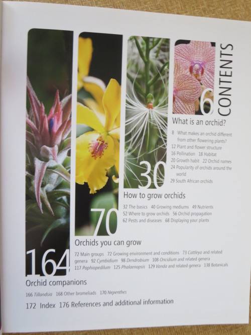ANYONE CAN GROW ORCHIDS  by Nollie Cilliers and Tinus Oberholzer
