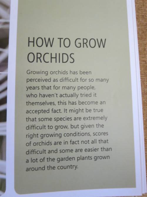 ANYONE CAN GROW ORCHIDS  by Nollie Cilliers and Tinus Oberholzer