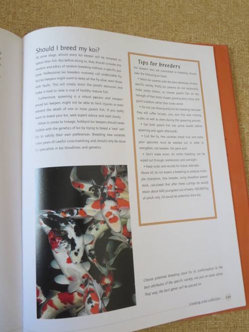 KOI   A handbook on keeping Nishikigoi  by Servaas de Kock and Ronnie Watt