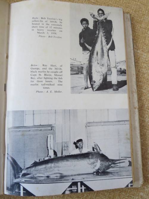 BIG GAME FISHING IN SOUTH AFRICA  by Charles Horne