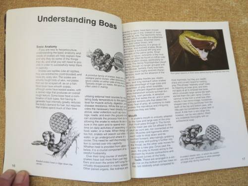 BOAS  A Complete Pet Owner`s Guide  by Doug Wagner  Illustrations: David Wenzel