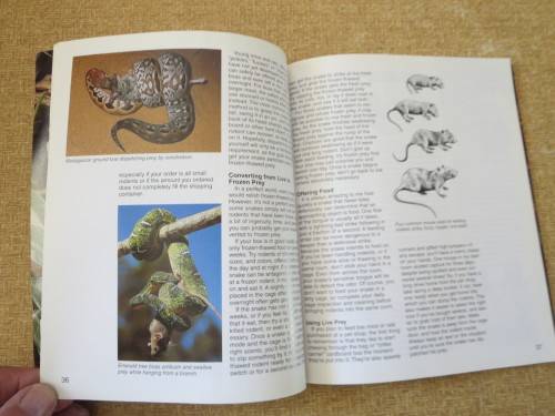 BOAS  A Complete Pet Owner`s Guide  by Doug Wagner  Illustrations: David Wenzel