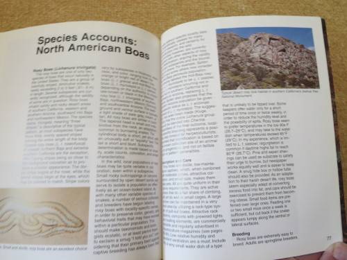 BOAS  A Complete Pet Owner`s Guide  by Doug Wagner  Illustrations: David Wenzel