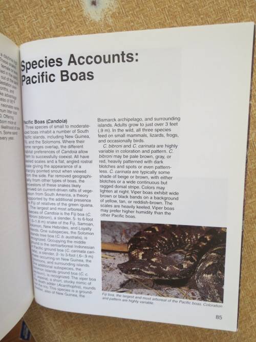 BOAS  A Complete Pet Owner`s Guide  by Doug Wagner  Illustrations: David Wenzel