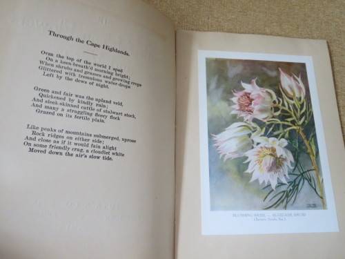 SIX SOUTH AFRICAN FLOWERS AND VERSE  Verses by: Kolbe, Tucker, Bromley and Cole
