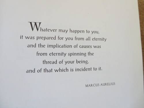 BEING - REMINDERS FROM THE GODS  by Susan Hayward